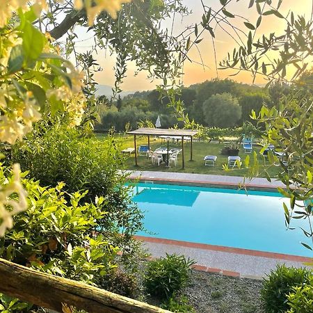 B&B Alloro Capannori Kültér fotó