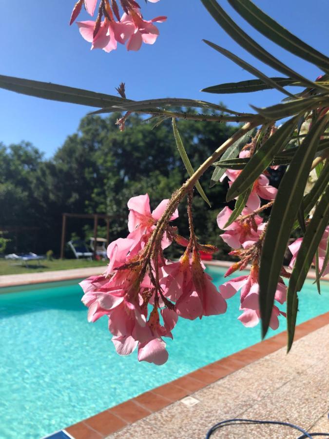 B&B Alloro Capannori Kültér fotó