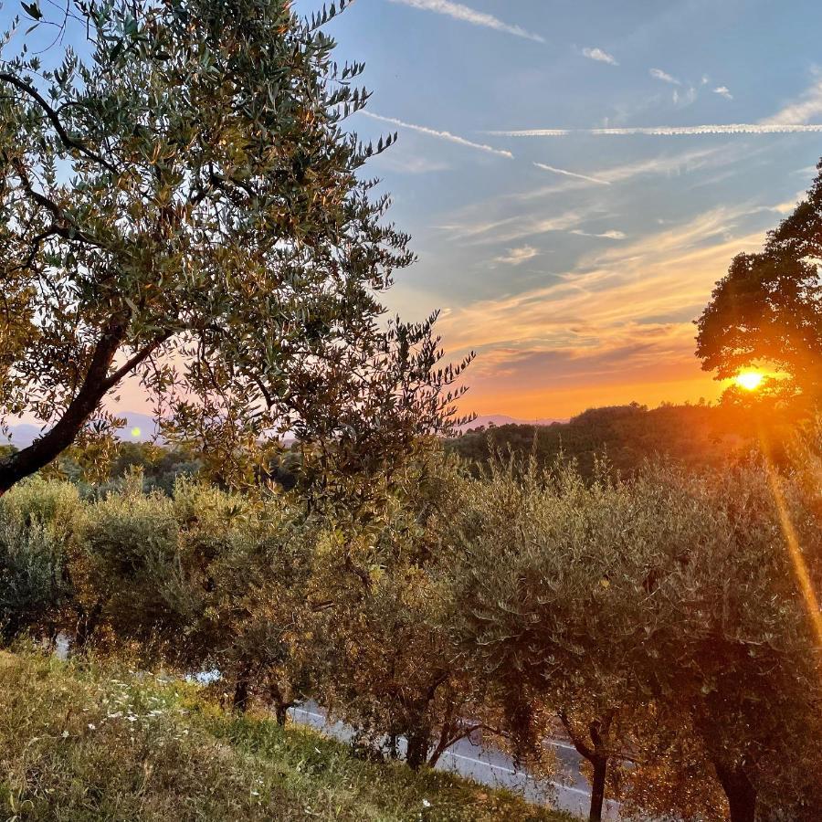 B&B Alloro Capannori Kültér fotó