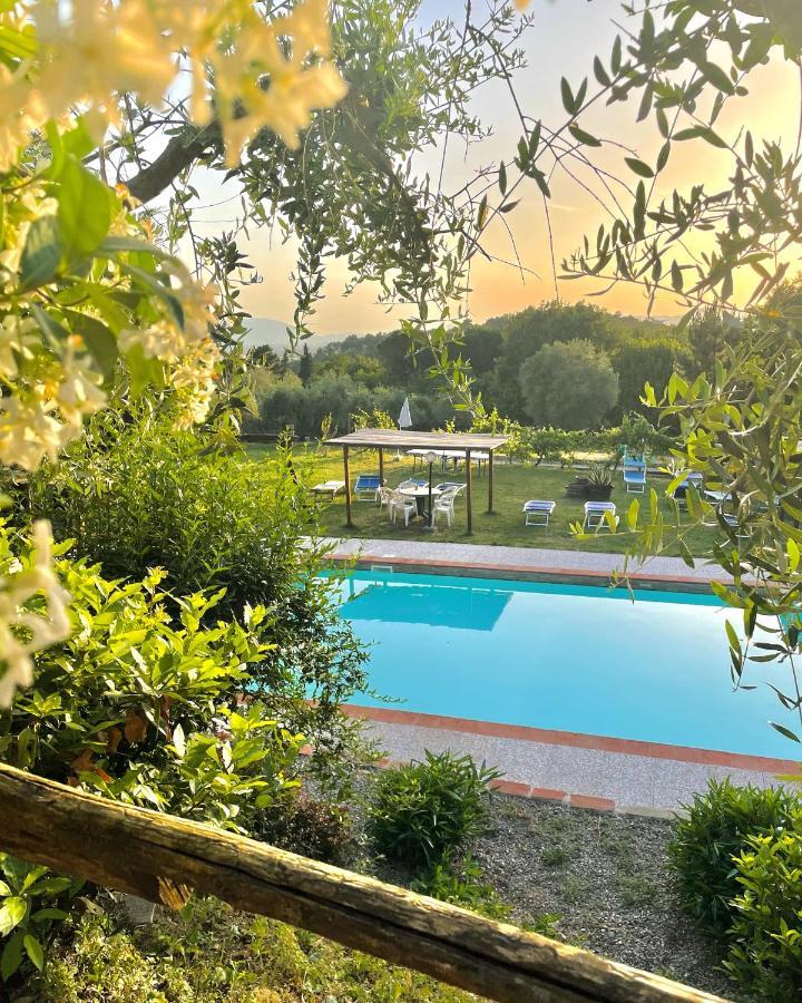 B&B Alloro Capannori Kültér fotó