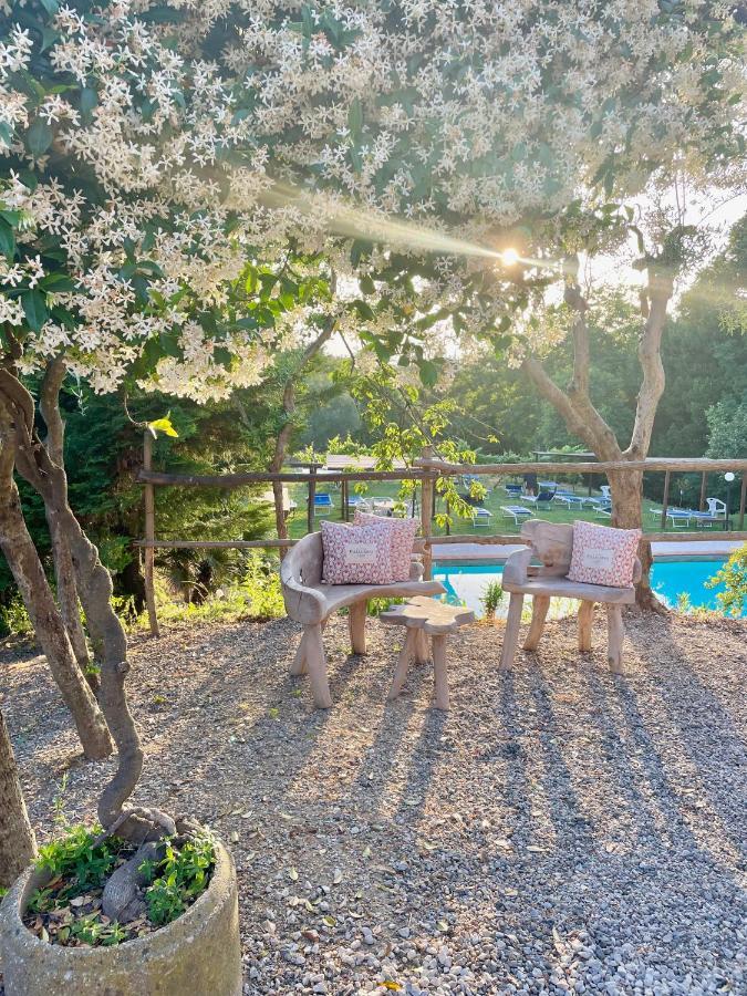 B&B Alloro Capannori Kültér fotó